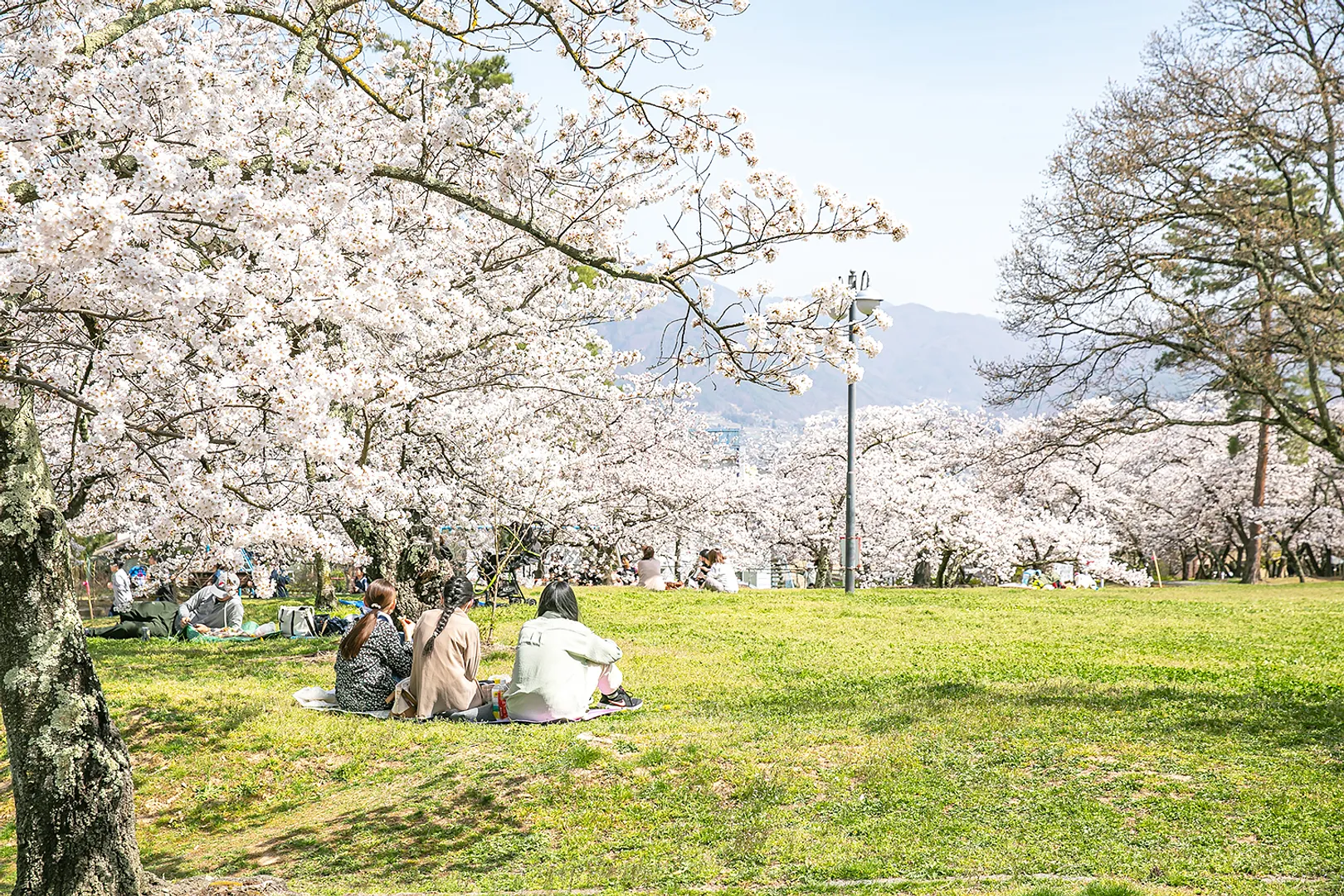 matsumoto_00_046_04.jpg