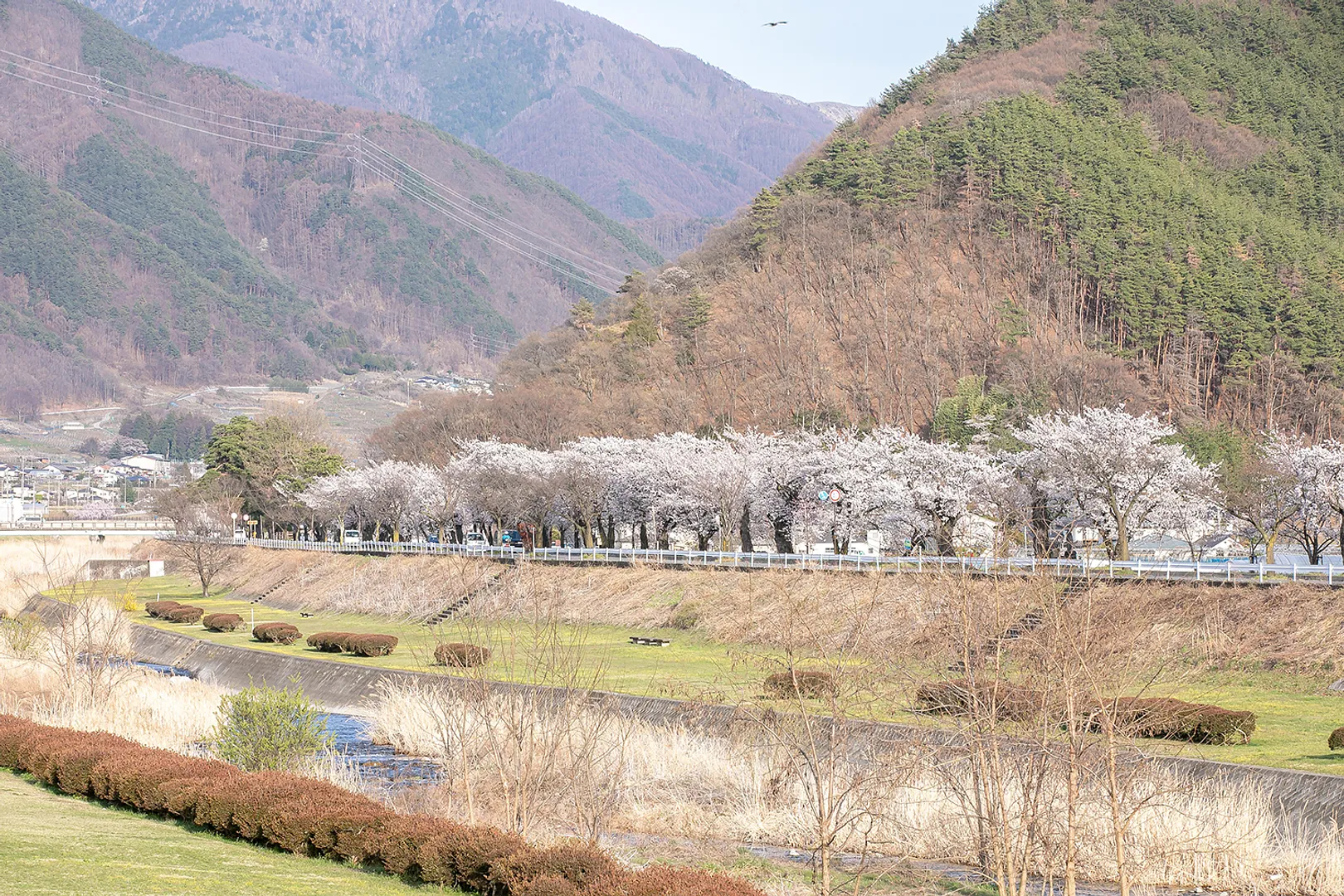 matsumoto_00_048_05.jpg