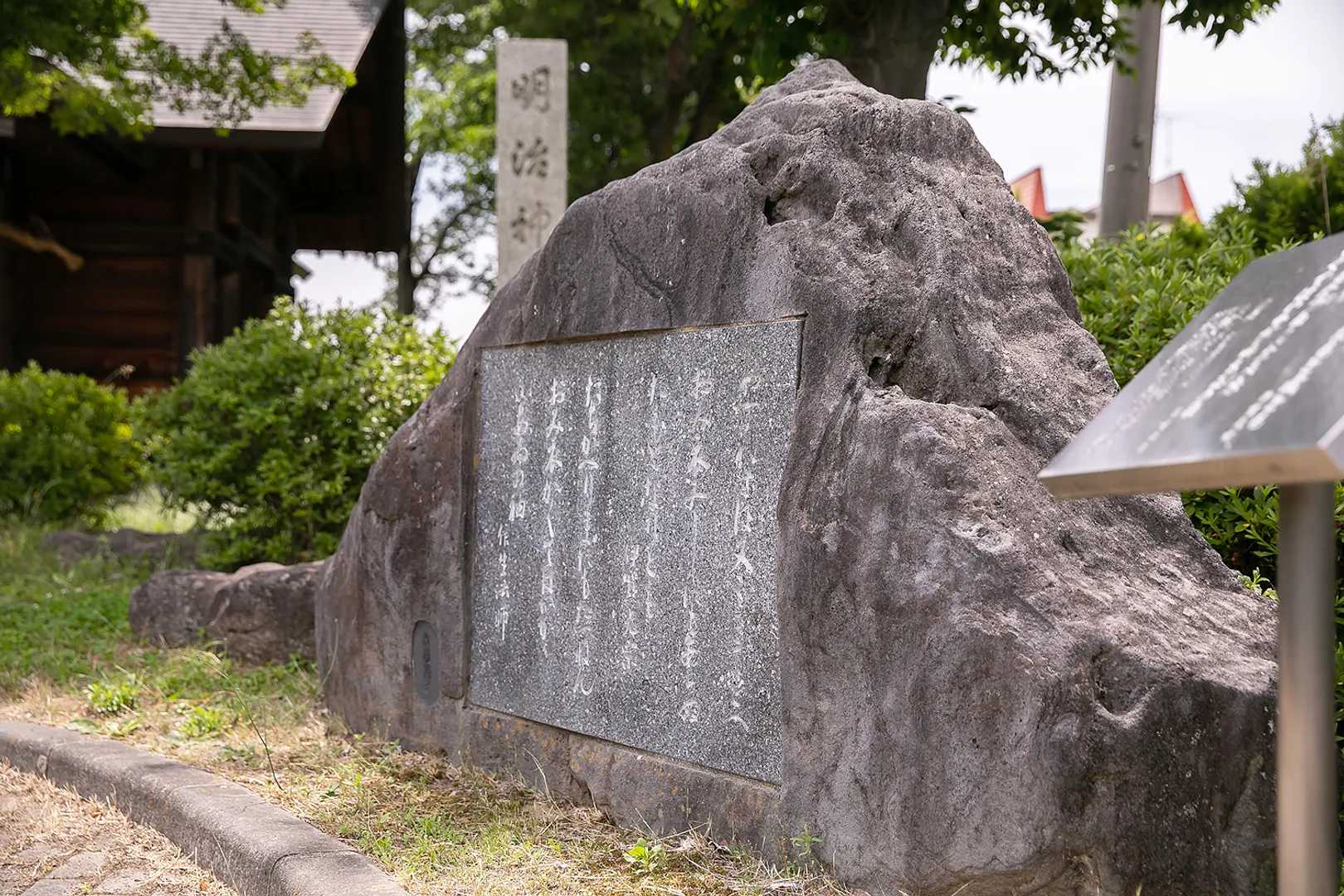 omi_00_013_05.jpg