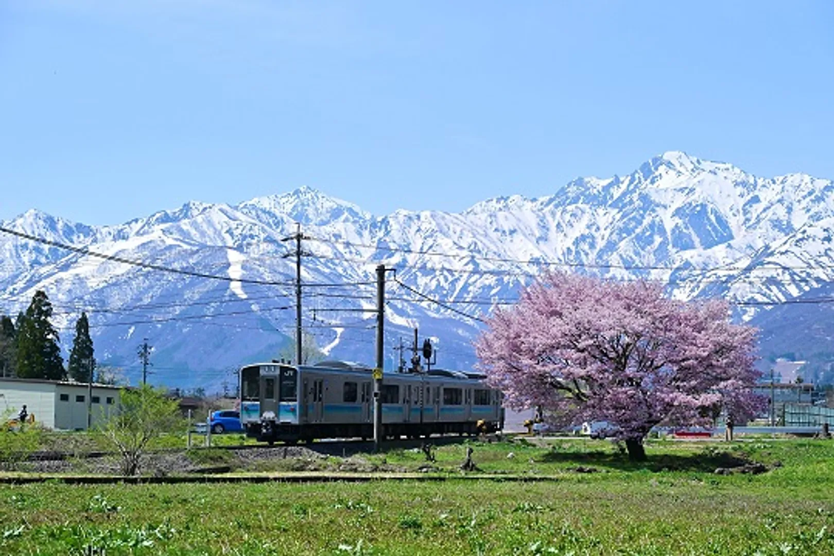 mar_38-1_4hakuba.jpg