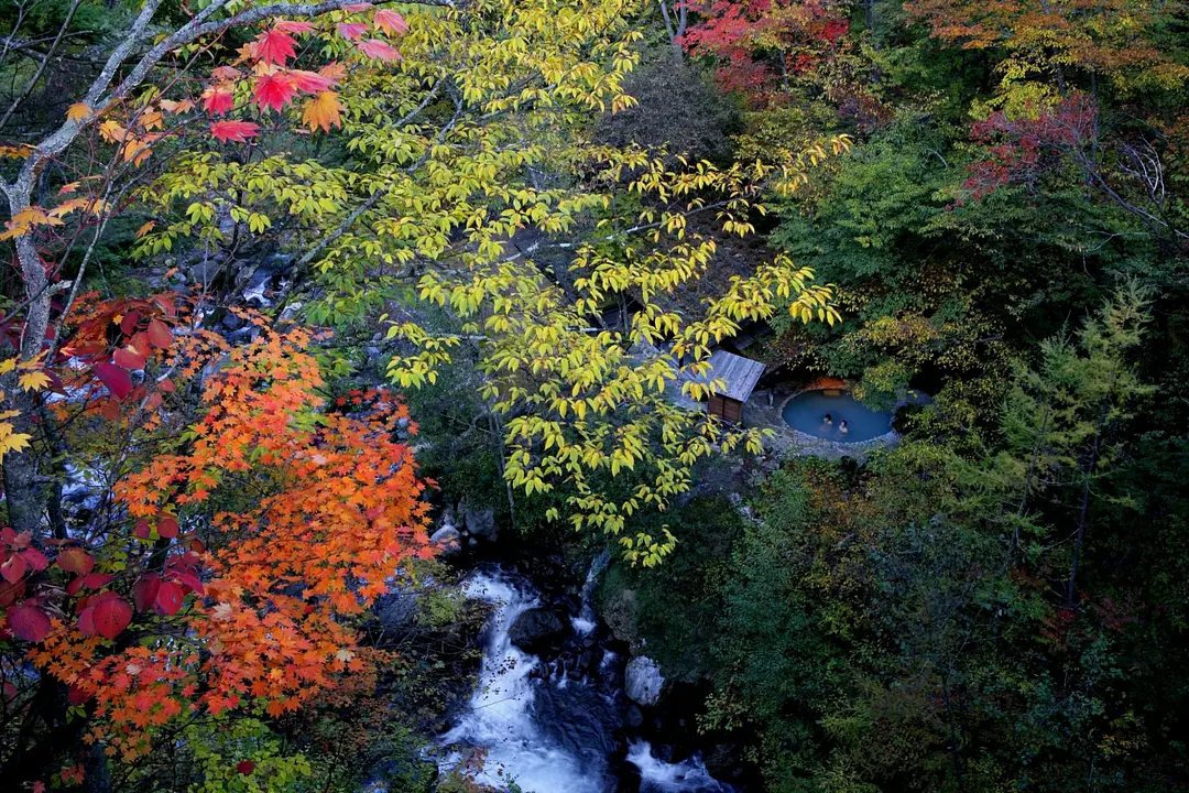 matsumoto_00_14_01.jpg