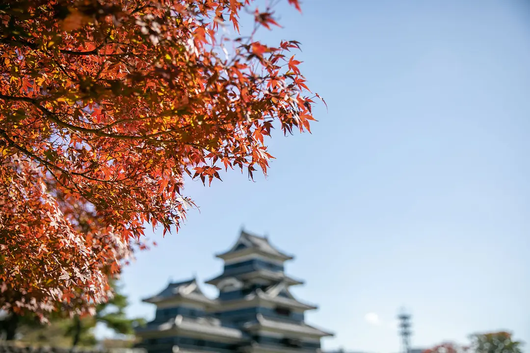 matsumoto_00_22_01.jpg