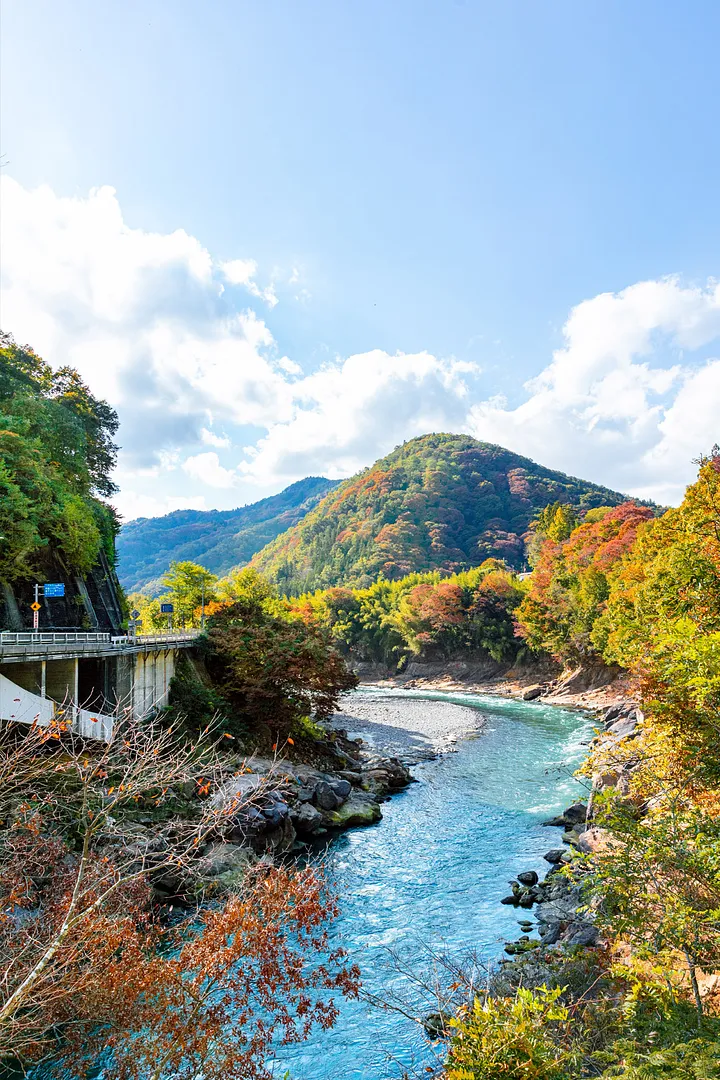 ikusaka_00_003_06